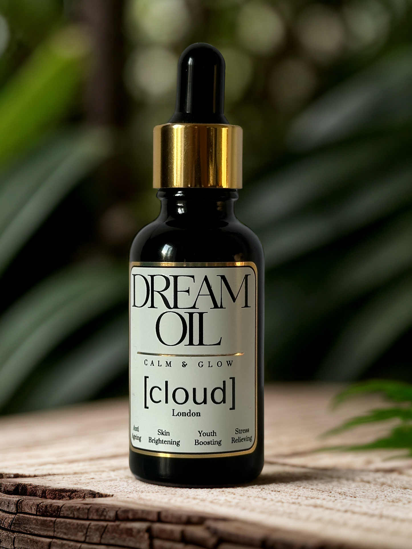 Dream Oil