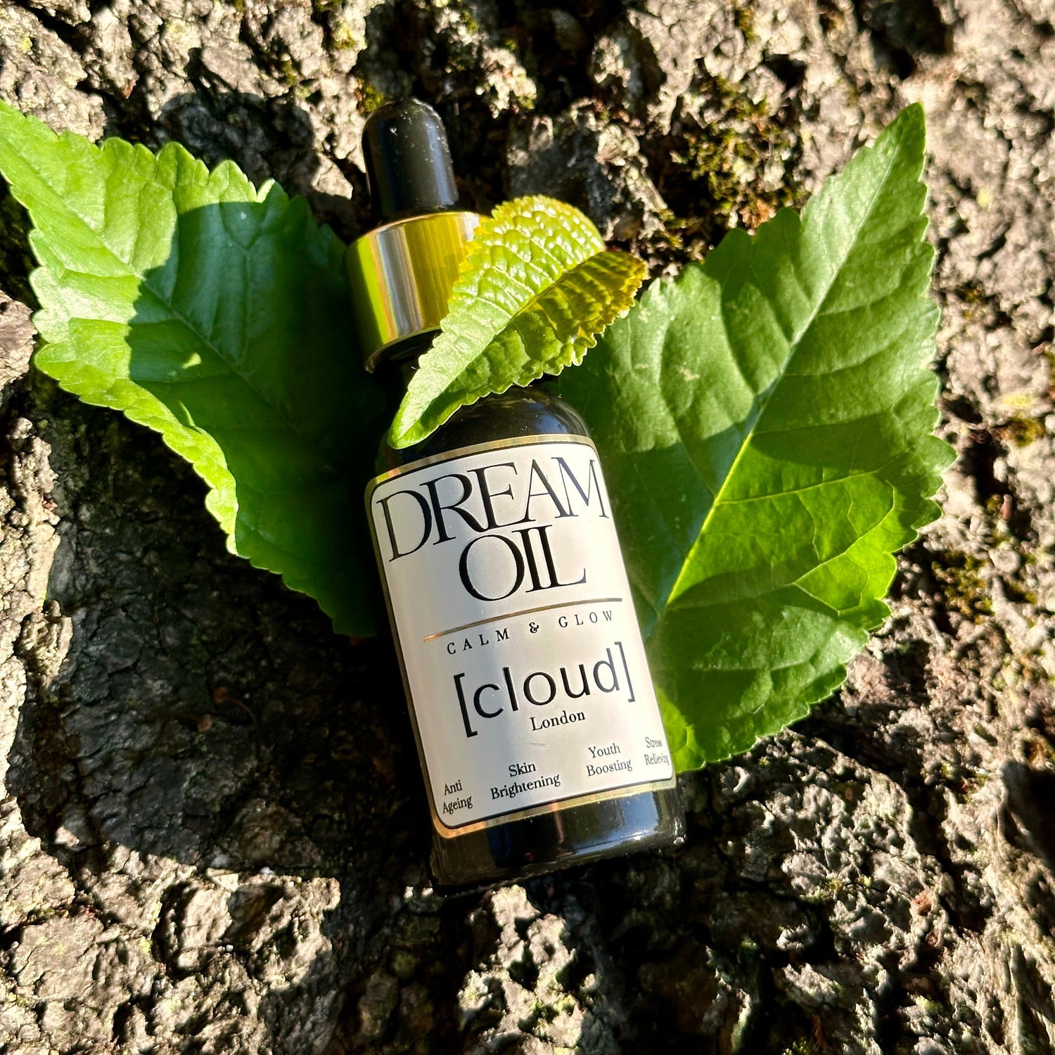 Dream oil next to a tree surrounded by leaves.