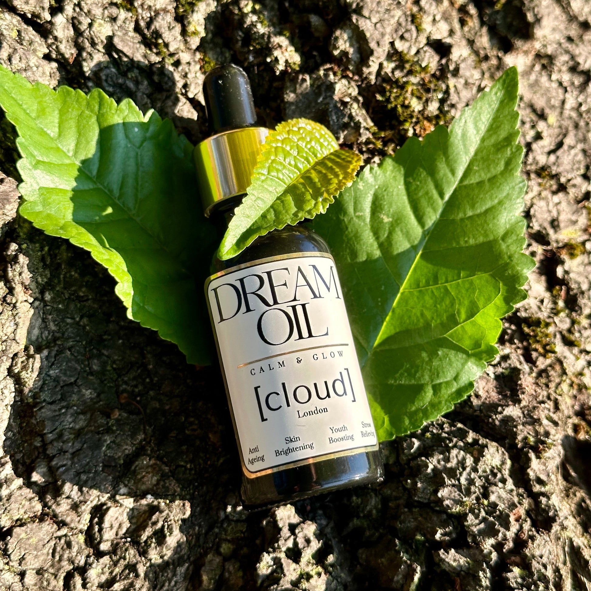 Dream Oil laying on a tree surrounded by three leaves. 