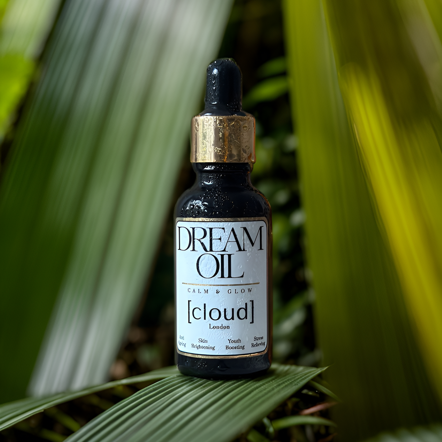 Dream oil sitting on a plant leaf surrounded by nature. 